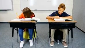 Zenergy And Runtz Ball Chairs - Image 4