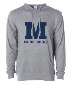 Independent Trading Company Middlebury Hooded T-Shirt (grey)