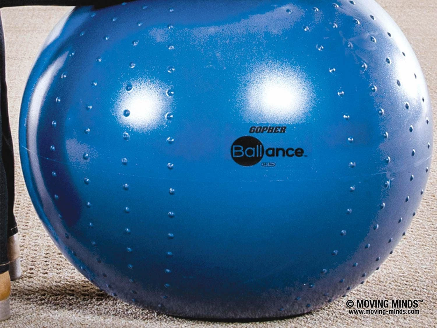 BALLance Stability Ball Chairs - Image 4