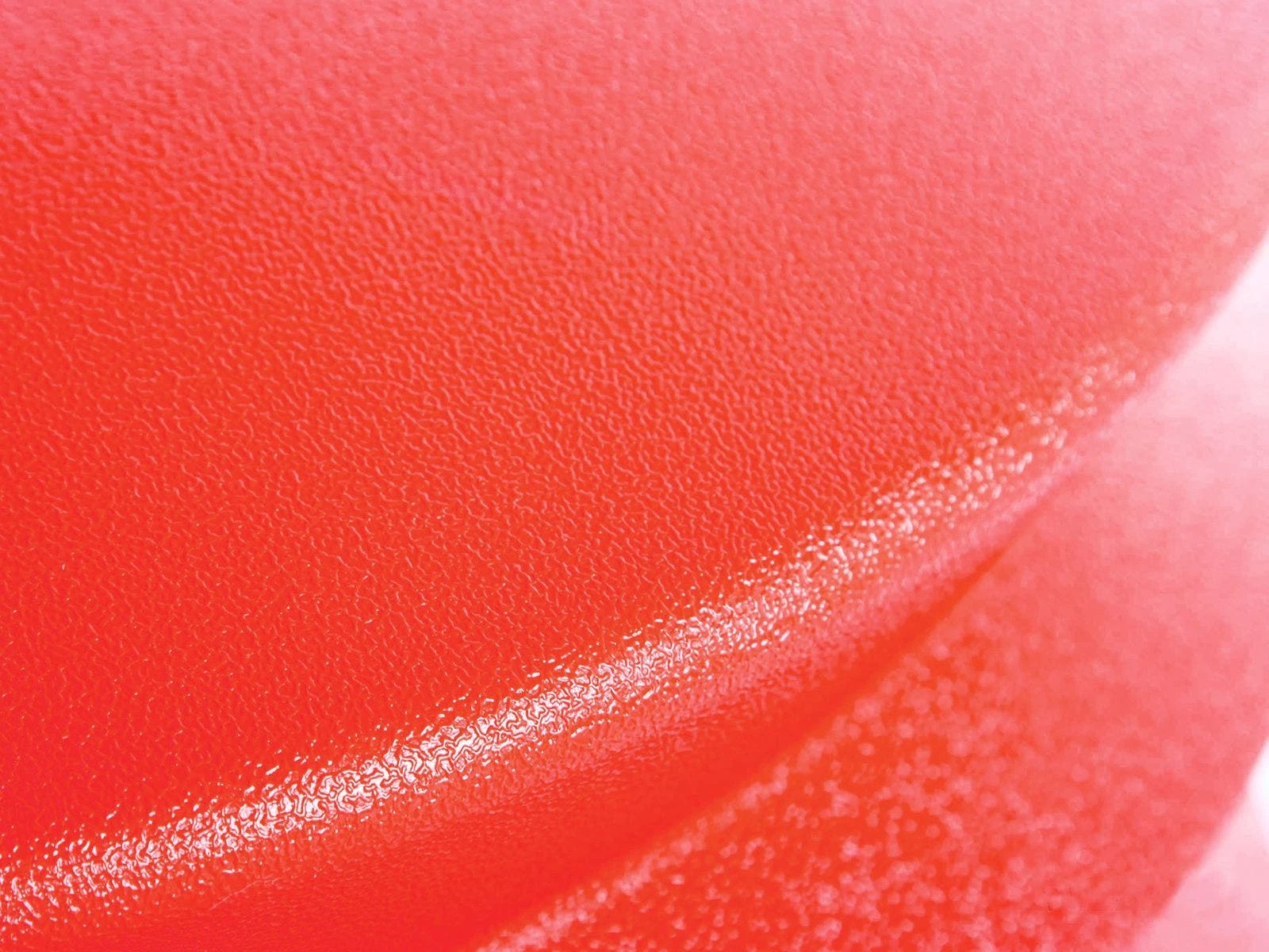 ErgoErgo Seats - Image 4